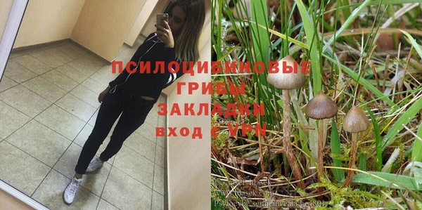 спиды Алексеевка
