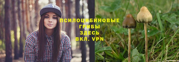спиды Алексеевка