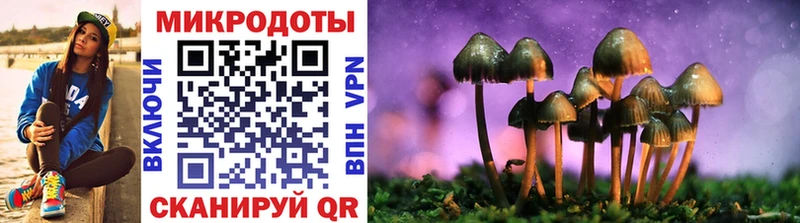блэк спрут как зайти  купить  сайты  Большой Камень  Псилоцибиновые грибы прущие грибы 